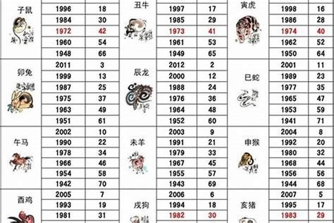 14年属什么|2014年属相是什么生肖 2014年出生的属什么